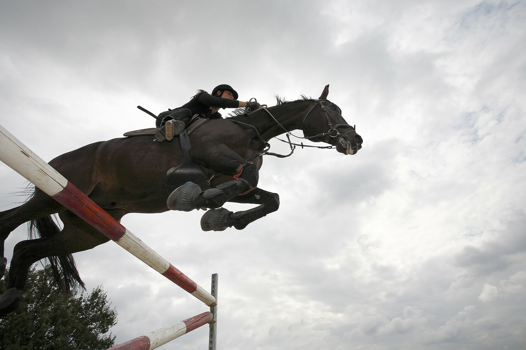 Canberra Equestrian Centre