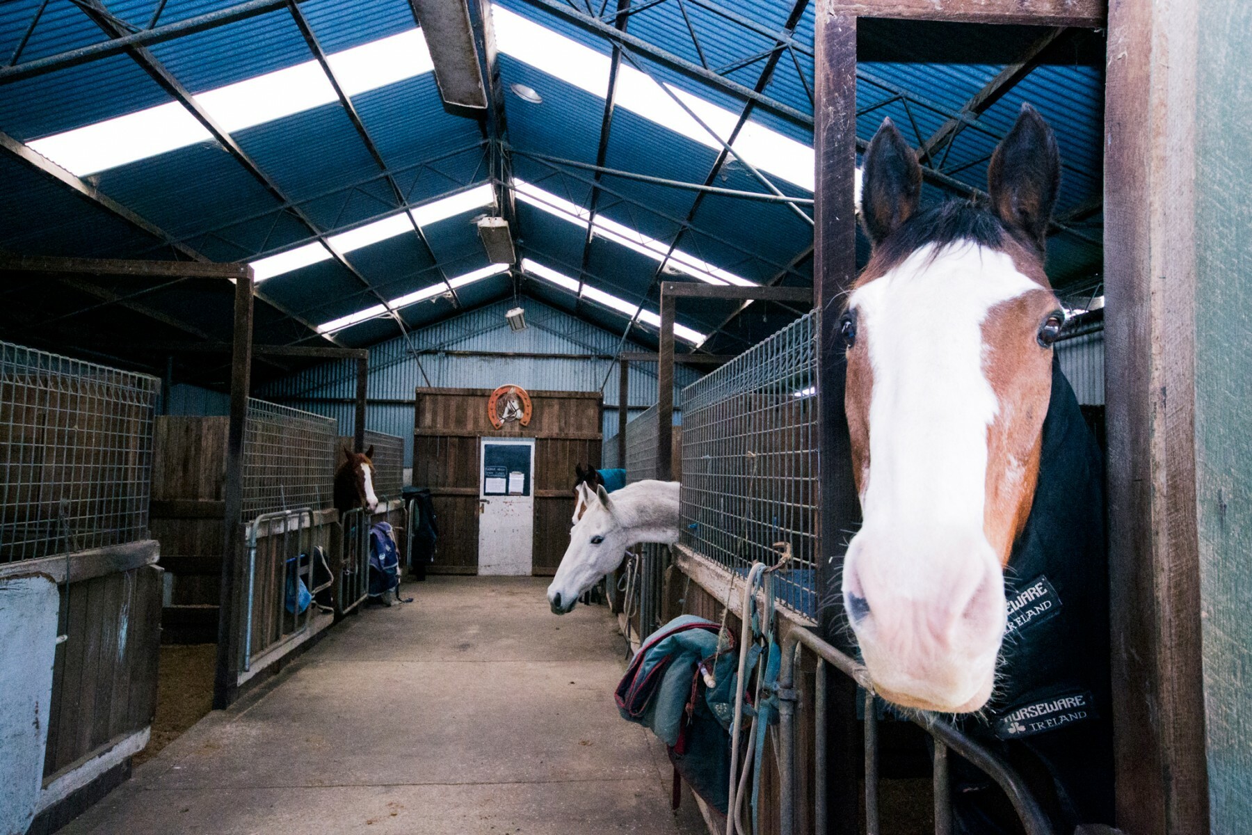 Canberra Equestrian Centre